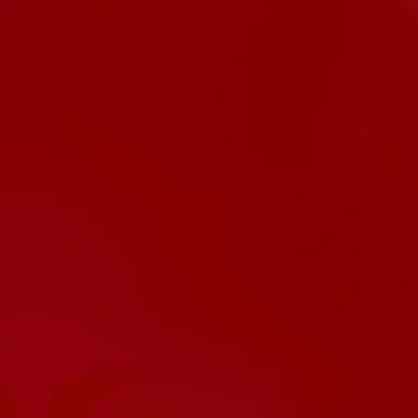 Profile image of 舜太