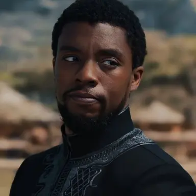 Profile image of T-Challa