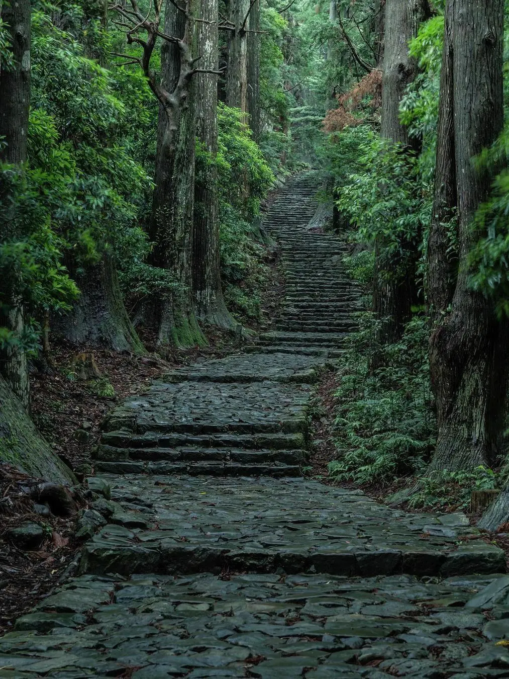 lain_._.b의 鬼のもとへ