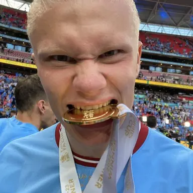 Profile image of Erling Haaland