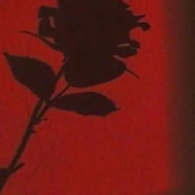 Profile image of 라더