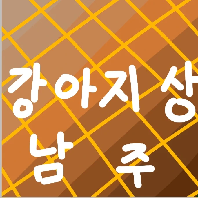 강아지상 남주
