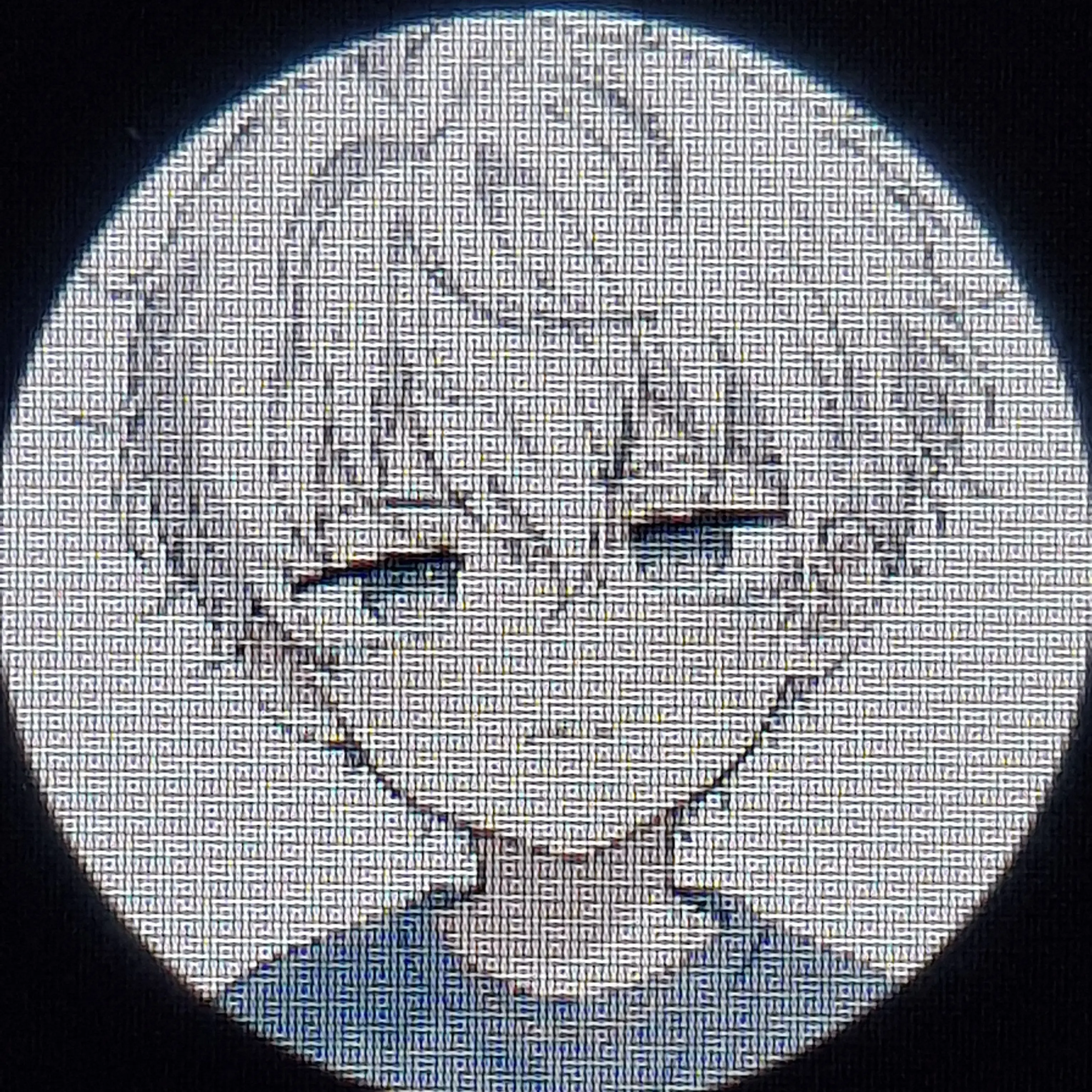 REX_godzilla의 레제이