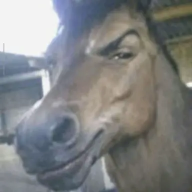 Profile image of Donny