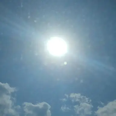 Profile image of 박잠뜰