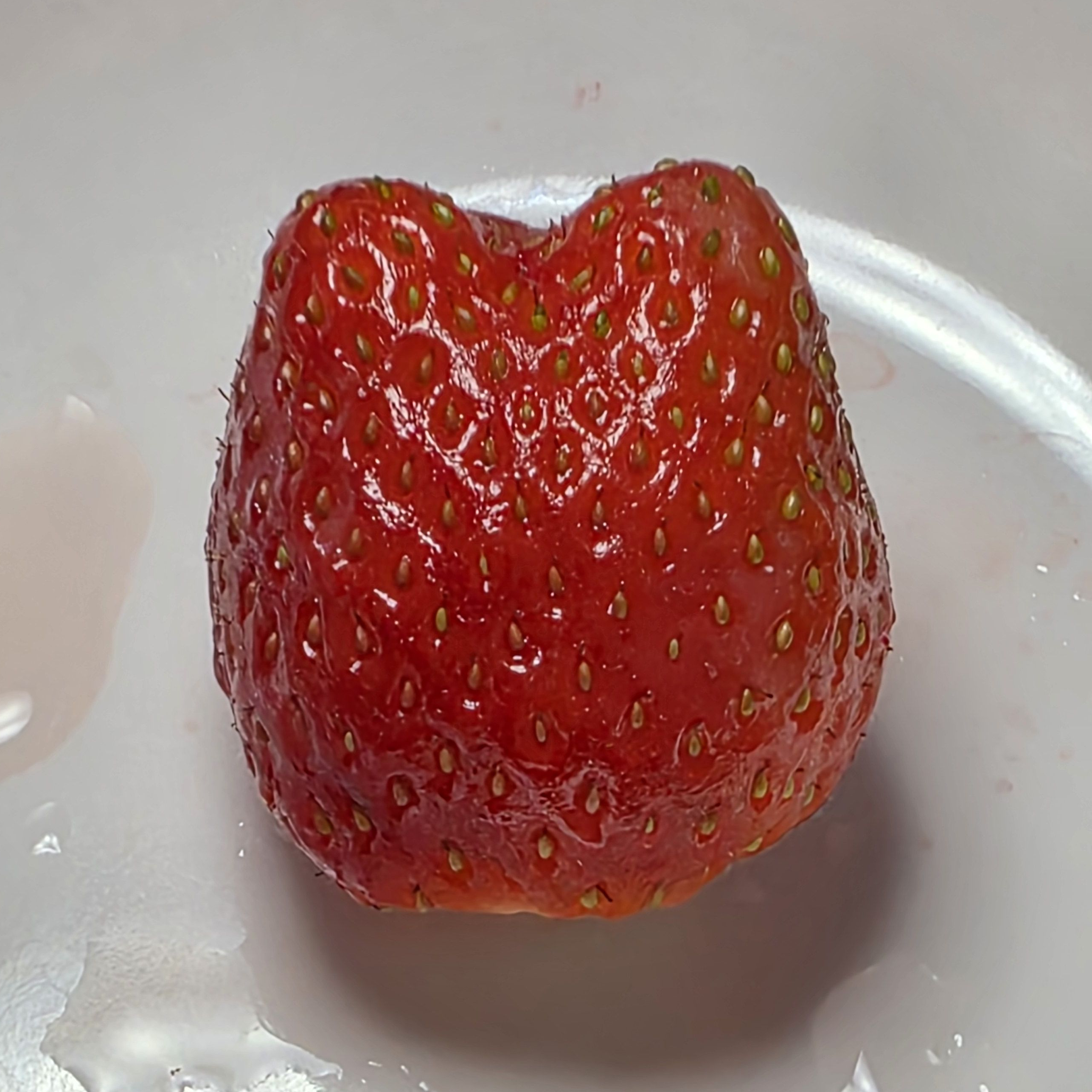황자는 친절하면 안되냐구요.. 대표 이미지