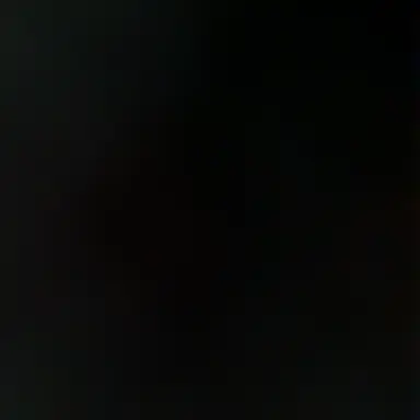 Profile image of 차진욱