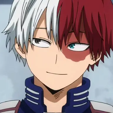 Profile image of Todoroki
