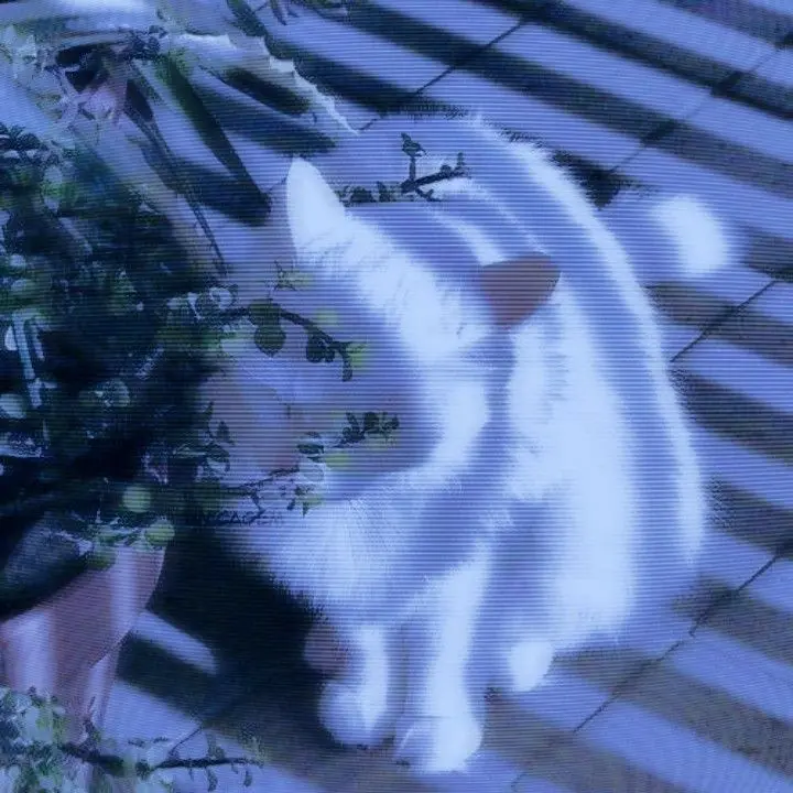 bxp_7의 우리가 헤어질 일 따윈 없을텐데.