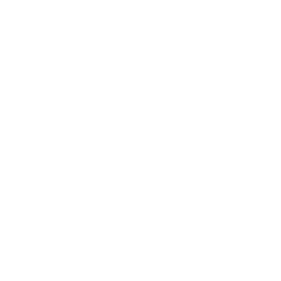 류