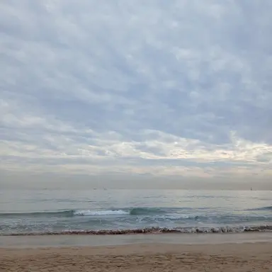 Profile image of 나윤서