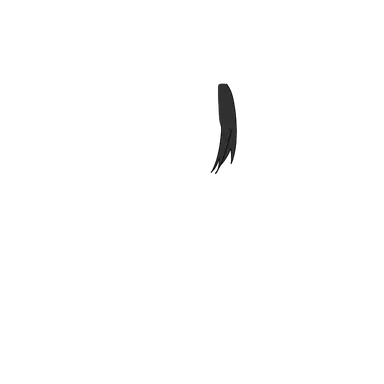 Profile image of 루츠