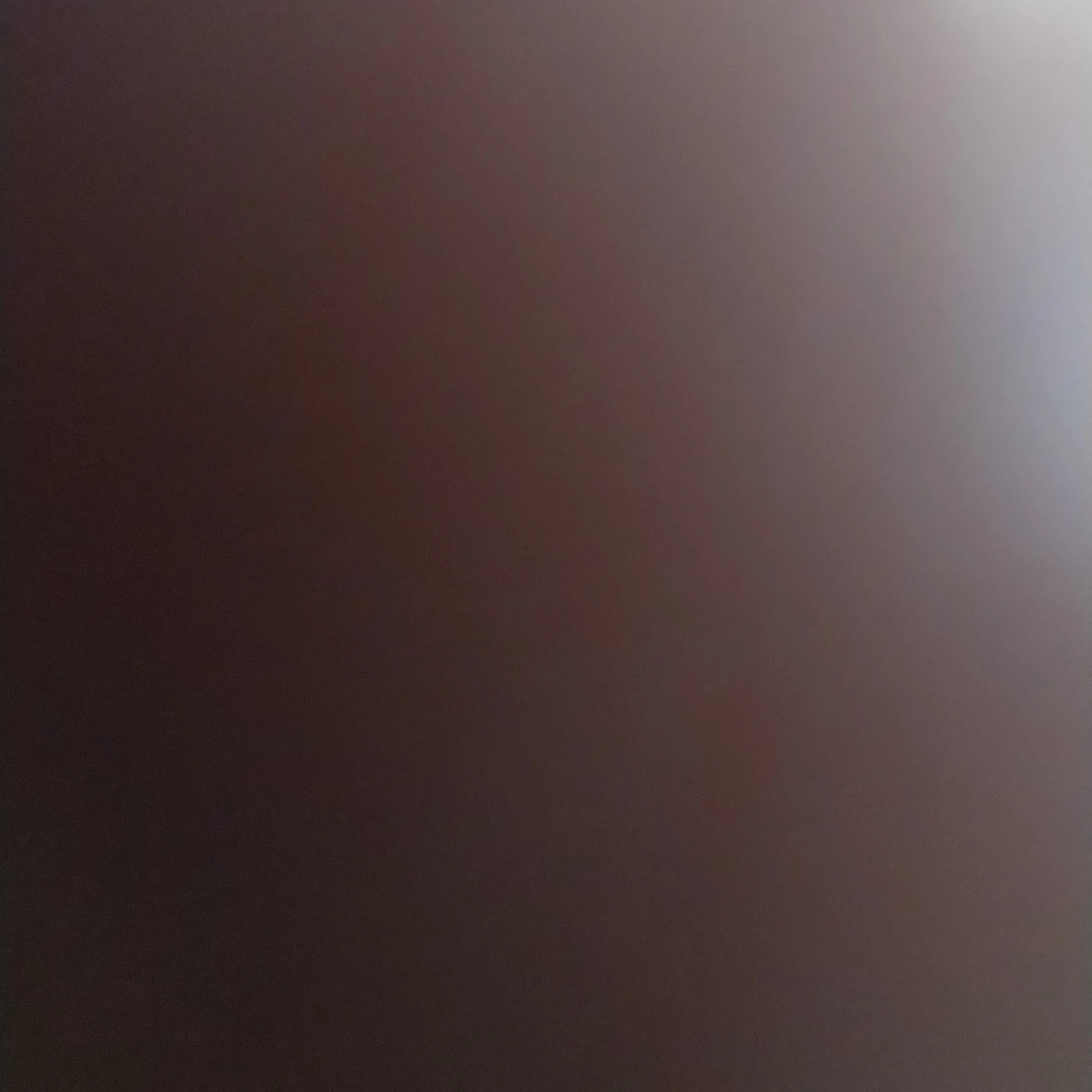 김동현
