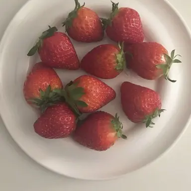 Profile image of 서라더