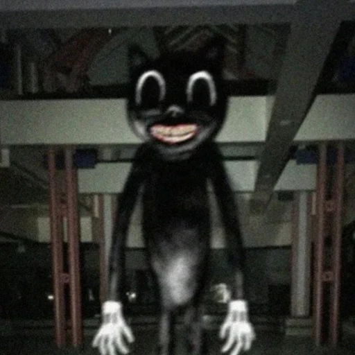 카툰캣