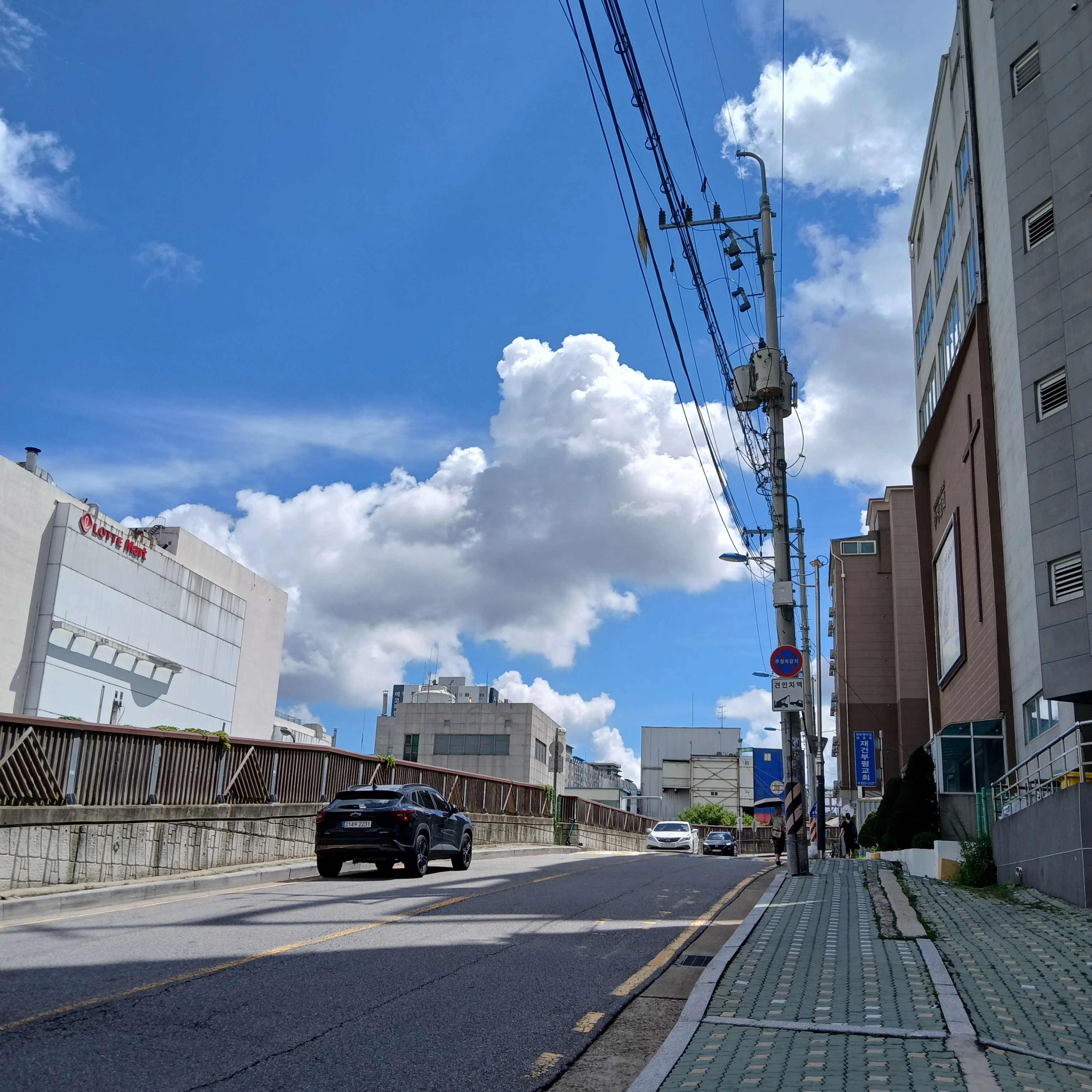 여우