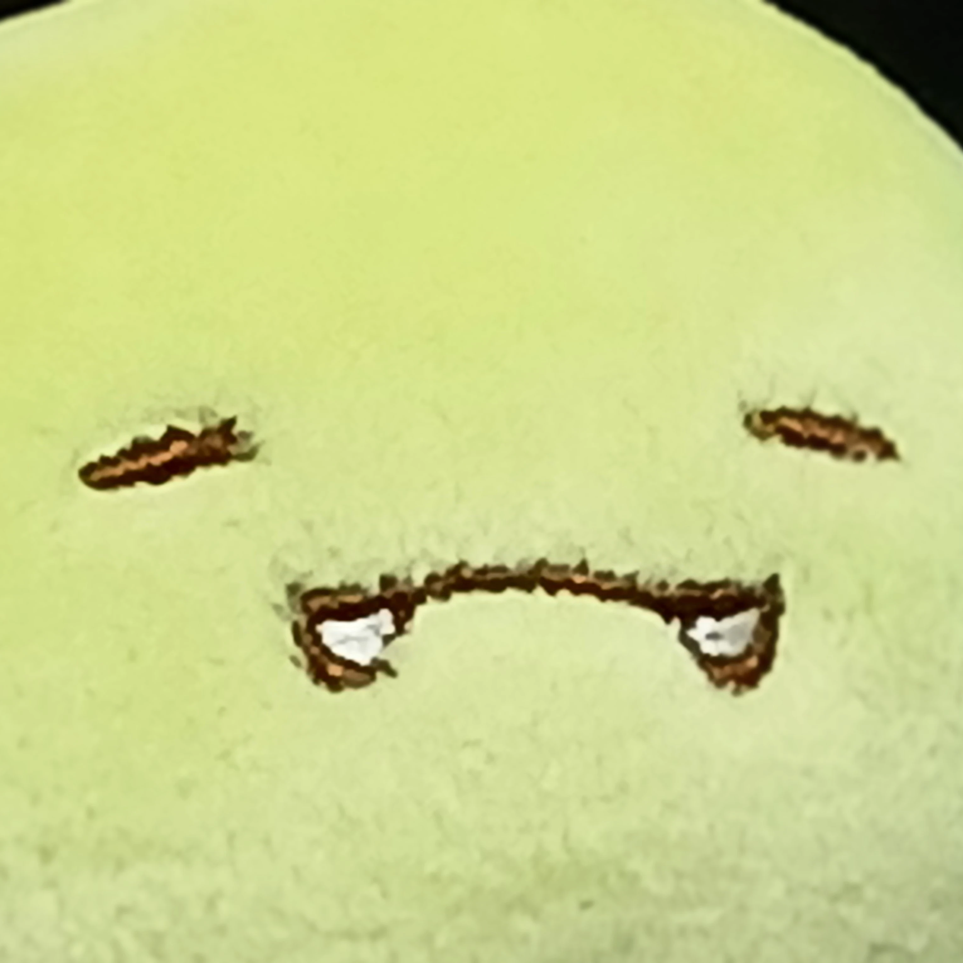 공룡