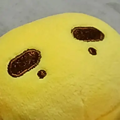 Profile image of 각별