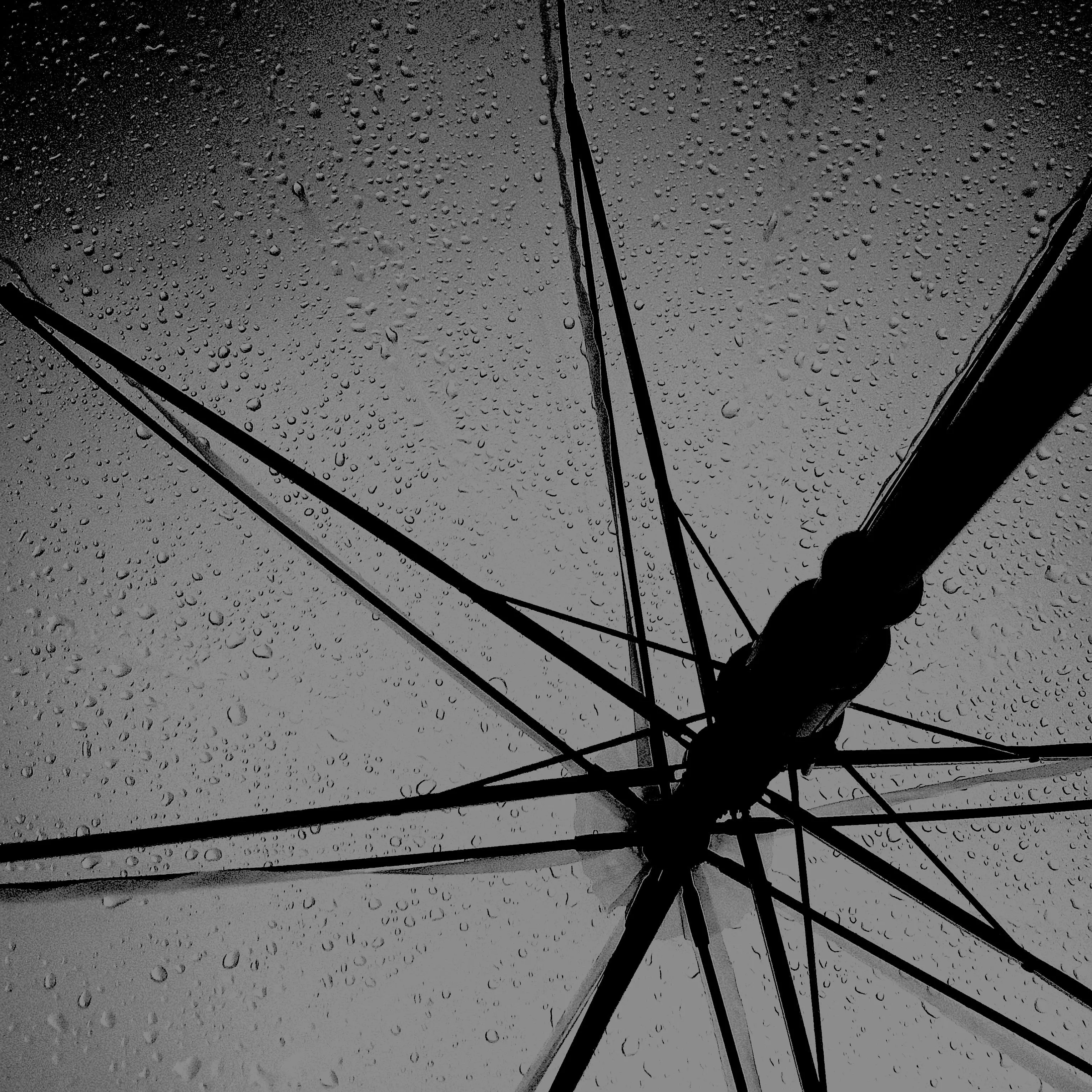 TangyStem3321의 만들어낸 허무.