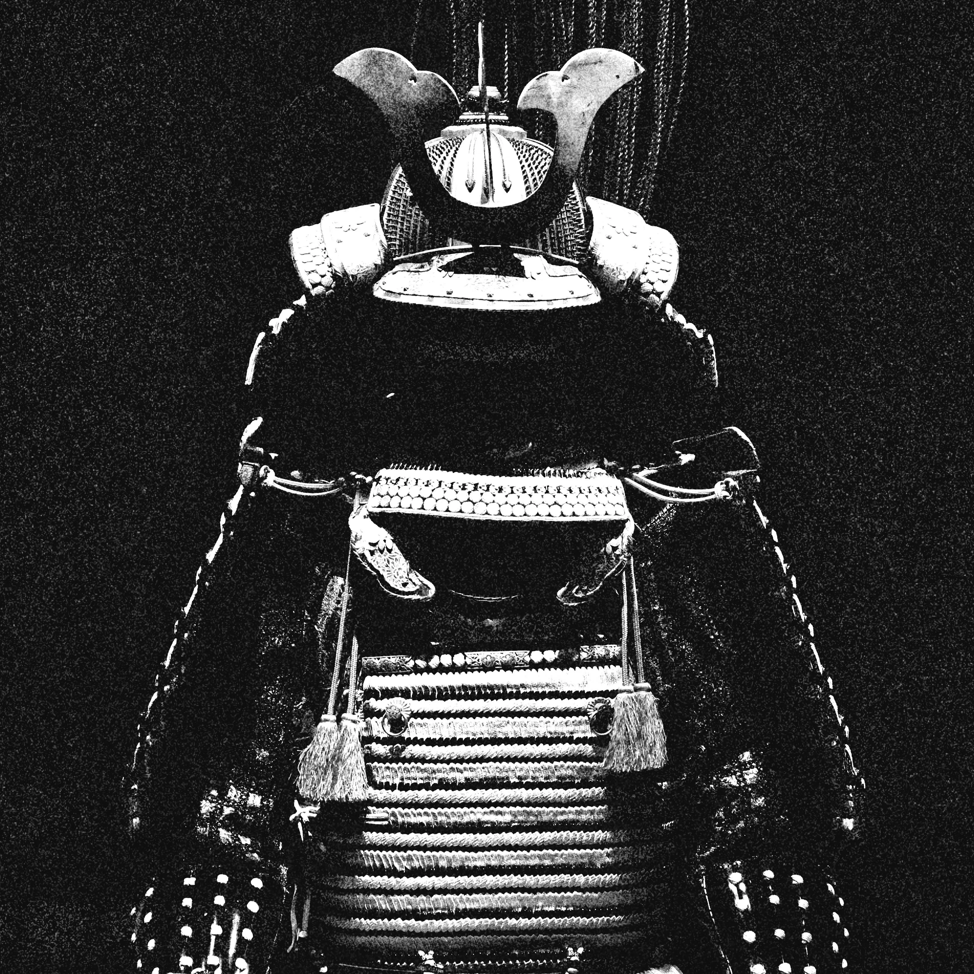 JerkyBee8710의 素戔嗚尊