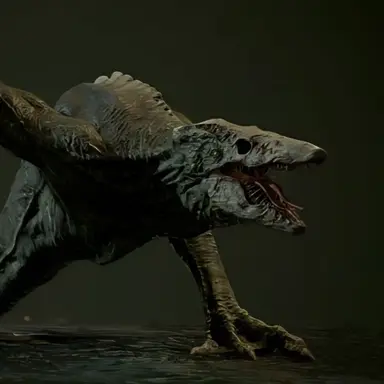 Profile image of 머쉬 케니드