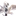 엔젤릭 워든
