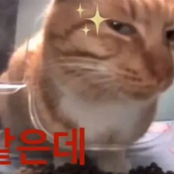 414vv의 아뭔데이거
