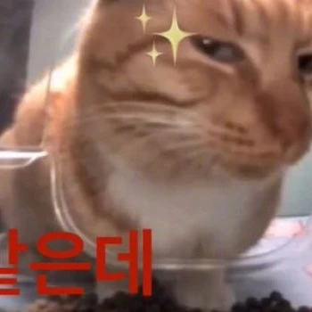 아뭔데이거