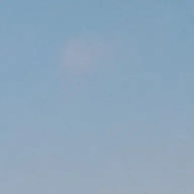 Profile image of 우유참치