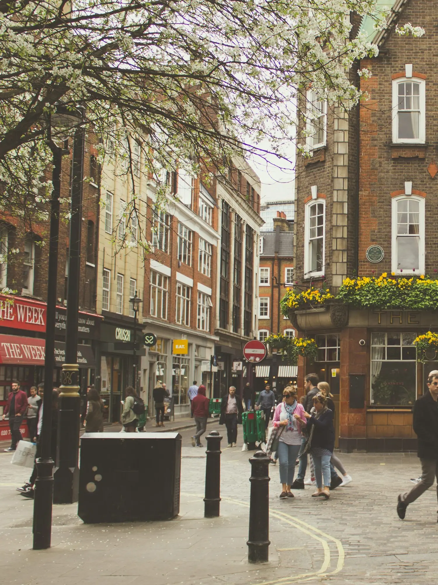 Vain.의 마이크로프트 홈즈