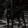 Profile image of Gerald