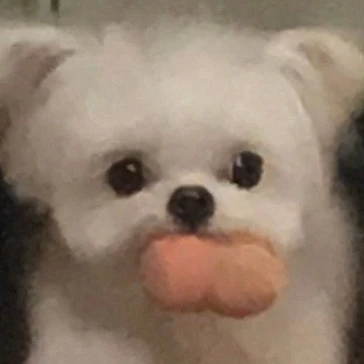 박해온