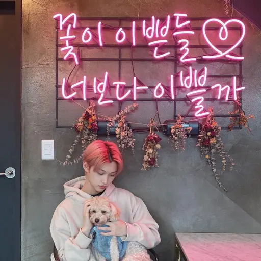 STRAY-KIDS_STAY의 이용복
