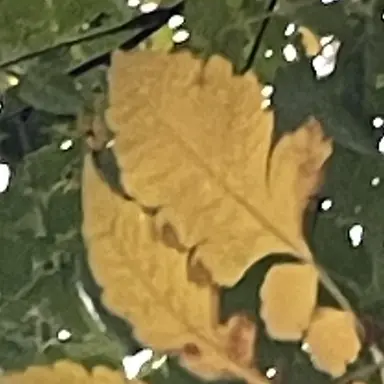 Profile image of 각별