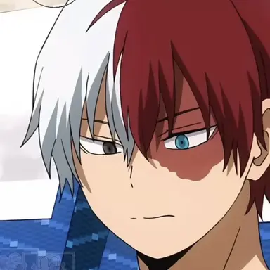 Profile image of Shoto Todoroki