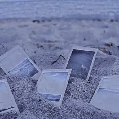 Profile image of 파이브