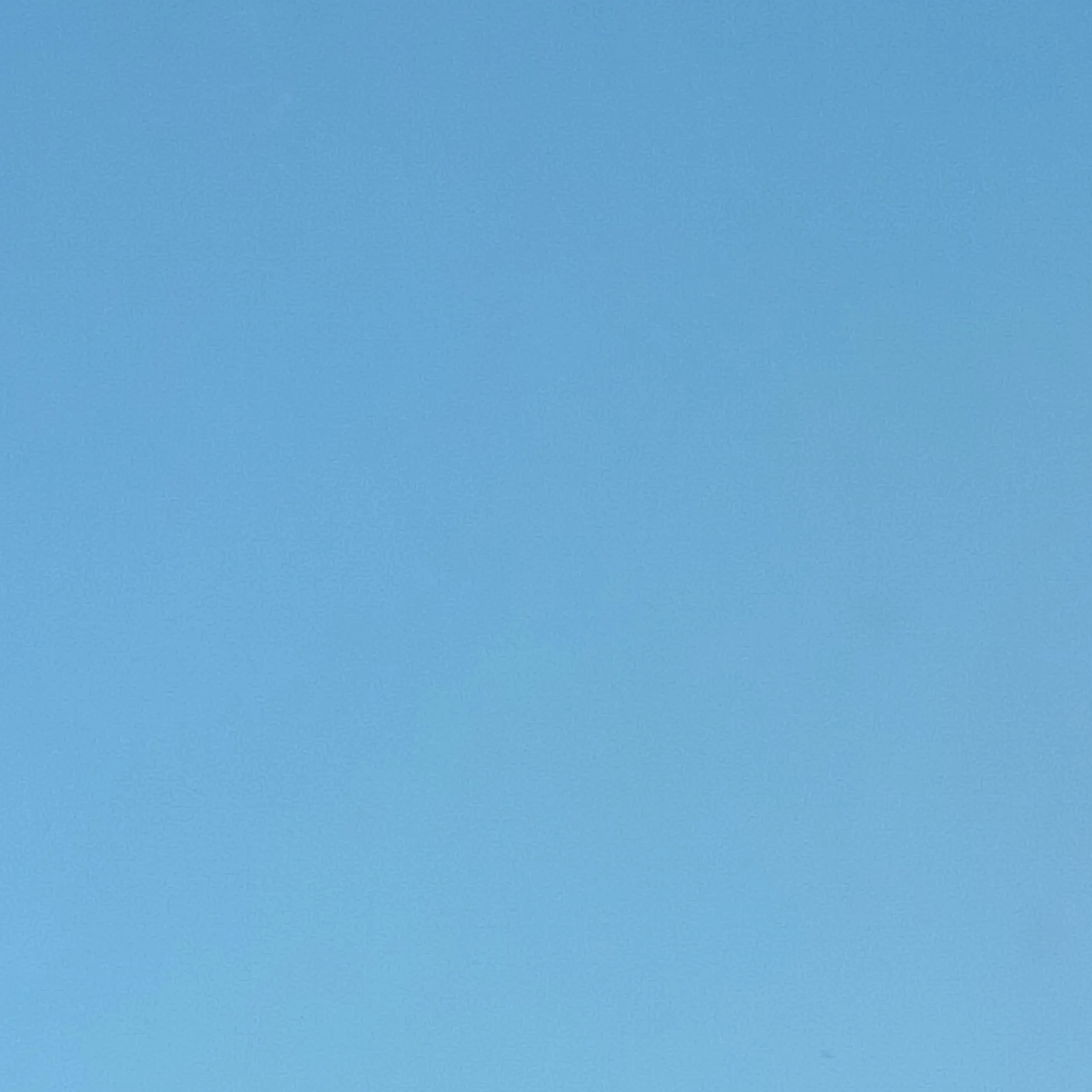 이서
