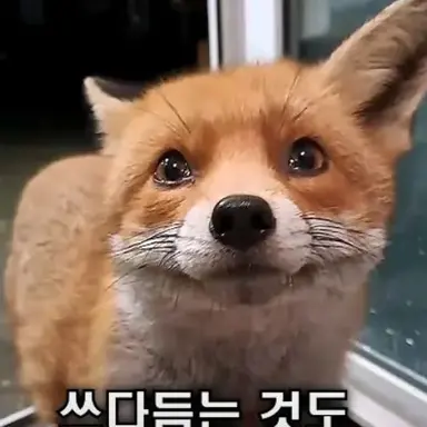 Profile image of 여우