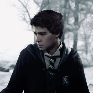 Profile image of Sebastian Sallow