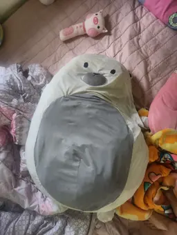 Profile image of 狐