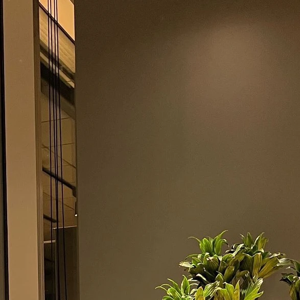 김동현
