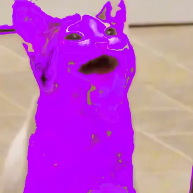 Profile image of 캣냅