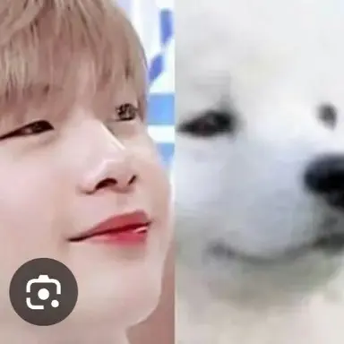 Profile image of 강다니엘