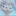 화이트캣