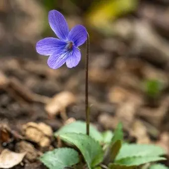 PettyLabel0514의 실험체 A1004-HS