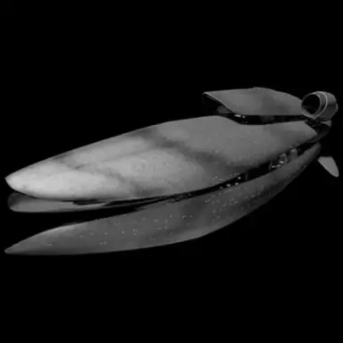 Profile image of 캐리어