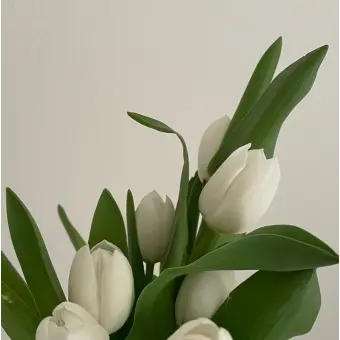 Profile image of 공룡