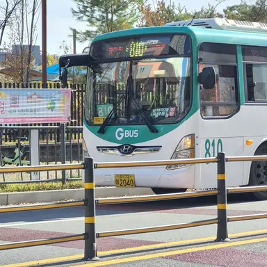 Profile image of 810번버스