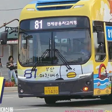 Profile image of 81번버스