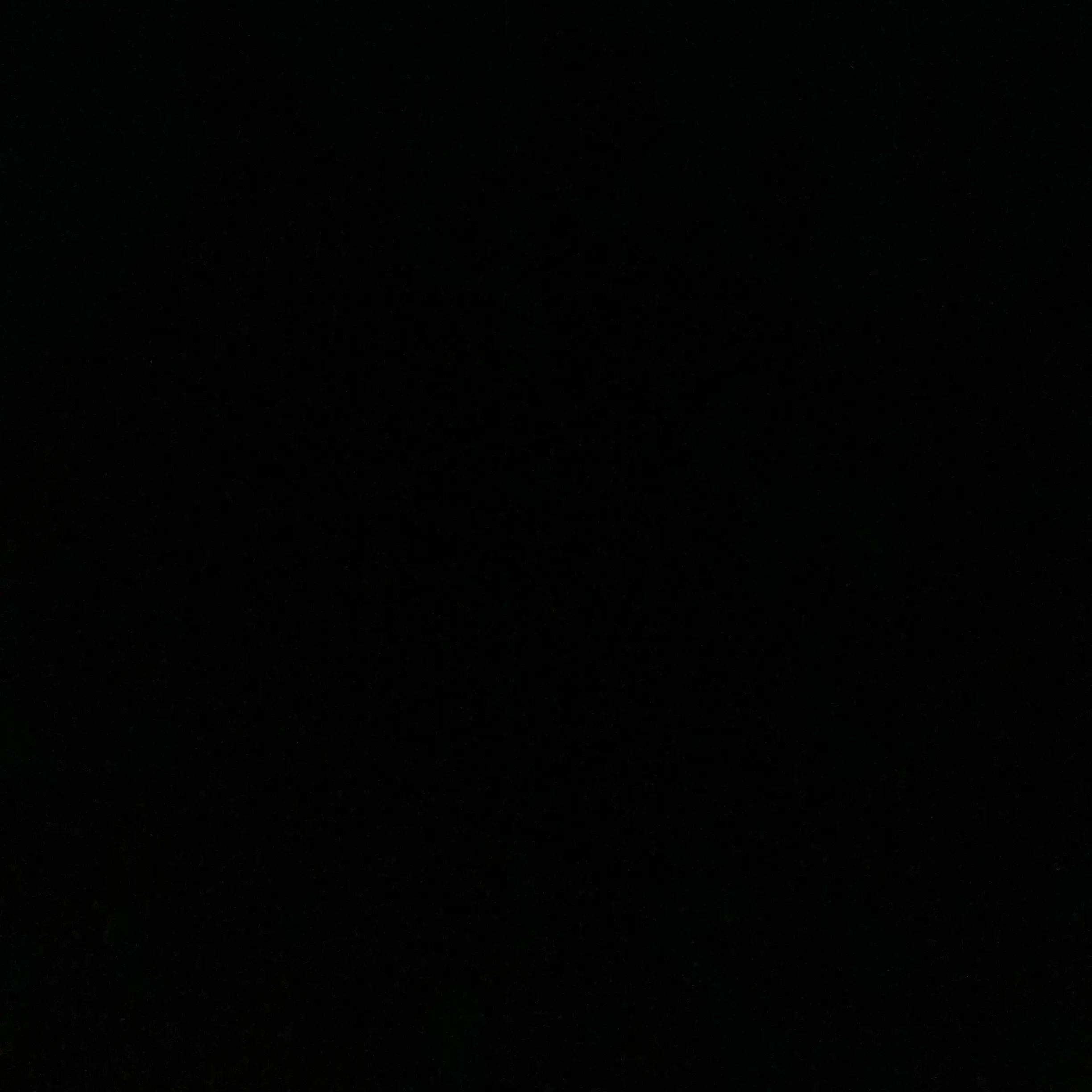 GGUM_YJ의 🐻